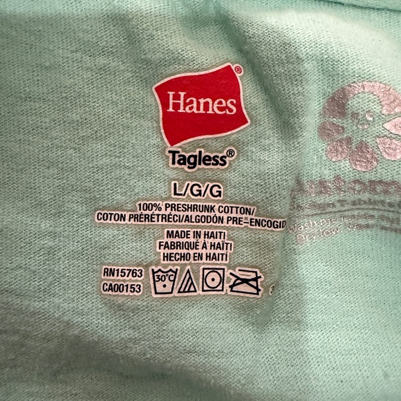 Hanes Georgie’s Alibi Monkey Bar Graphic Tee Mint Regular - Picture 5 of 7